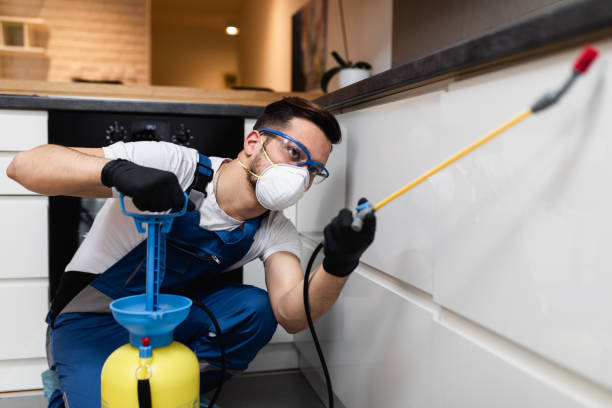 Best Bed Bug Extermination  in Brookfield, IL
