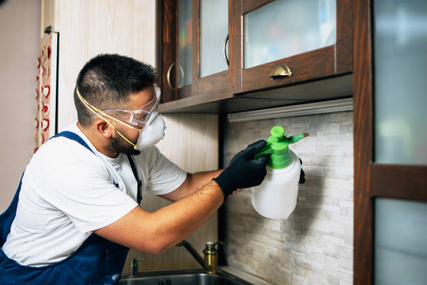 Pest Control for Restaurants in Brookfield, IL