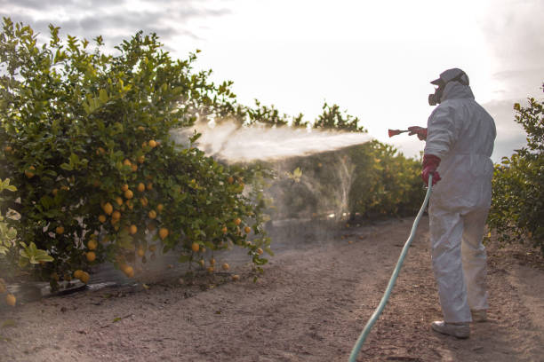 Flea Control Services in Brookfield, IL