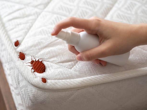 Reliable Brookfield, IL Pest Control Solutions