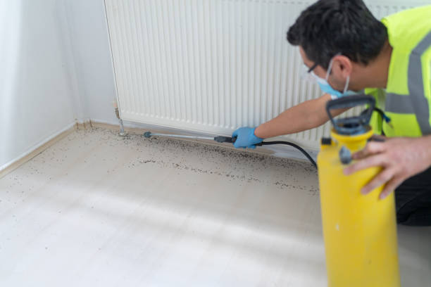 Best Best Pest Control Companies  in Brookfield, IL