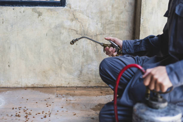 Best Pest Control Treatment  in Brookfield, IL