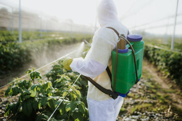 Best Best Pest Control Companies  in Brookfield, IL